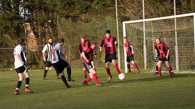 在快乐中探 在快乐中探