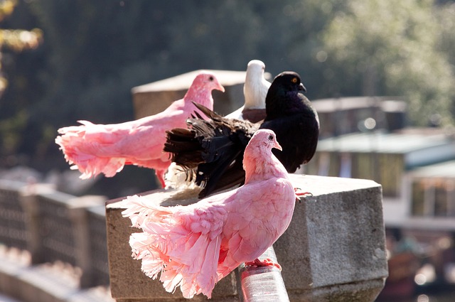 她用行动和 她用行动和
