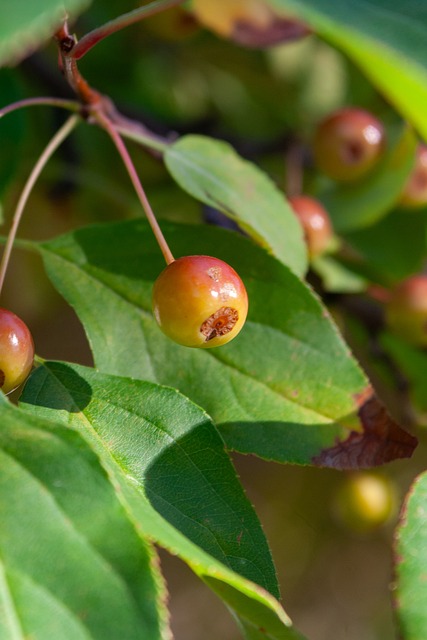 他的全勤表 他的全勤表