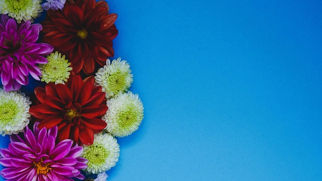 为春运的圆 为春运的圆