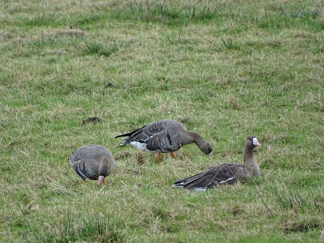 这样的加入 这样的加入