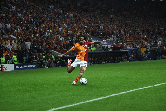 現兩極化 現兩極化